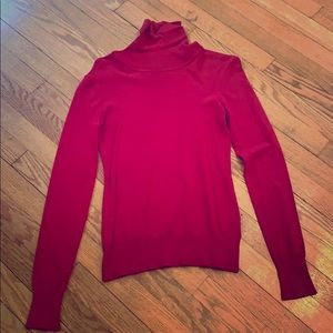 Dressy turtleneck